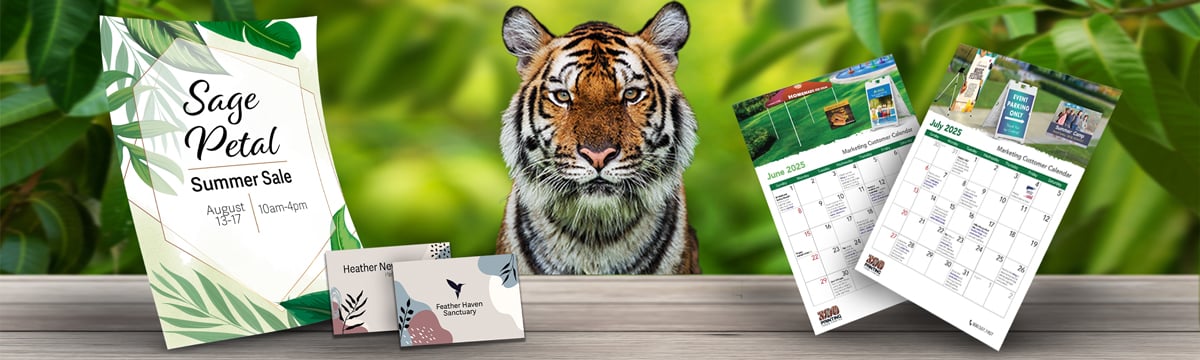 ZOOM-2008-Zoo-July-2025-Blog-Banner-Image