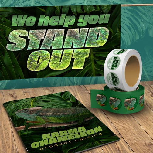 ZOOM-2264-Blog-Mar2026-CMYK-Image3_H2_WhereConsistentColorMatters