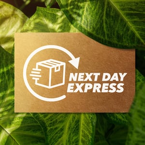 ZOOM-October-2025-Blog1